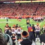 DenverDonkeyHater